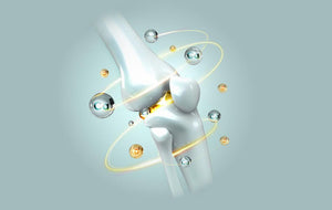 Collagen : The Secret to Stronger Bones and Healthier Joints |  Collagen’s Role in Bone Health